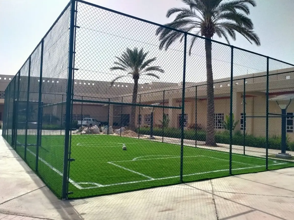 ملاعب العشب الصناعي