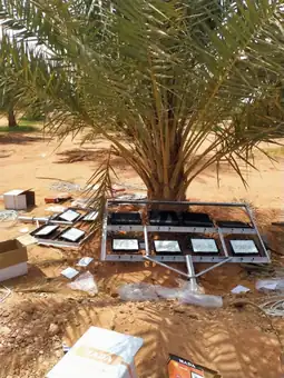 مشروع نوفا — أثناء مراحل التنفيذ