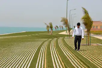 ينبع — الهيئة الملكية — أثناء مراحل التنفيذ